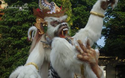 Rückblick 27. März – 02. April 2017 – Sanur / Bali