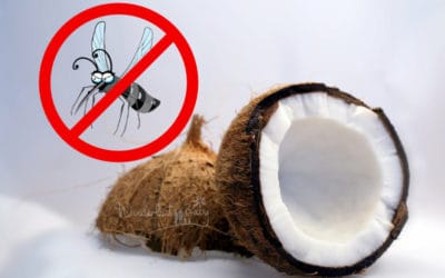 Kokosöl gegen Mücken: Unser natürlicher Mückenschutz
