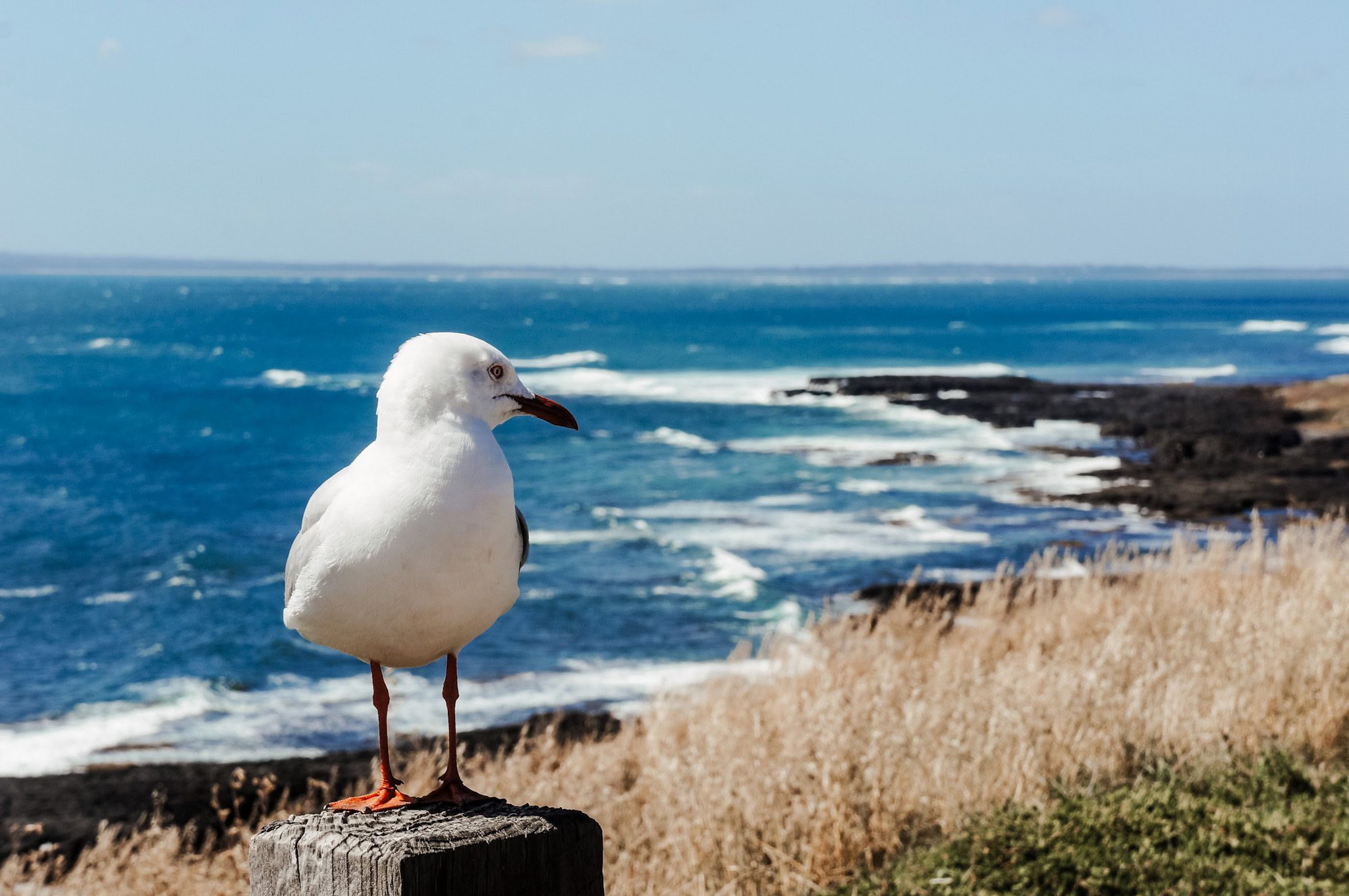 Abenteuer Australien
